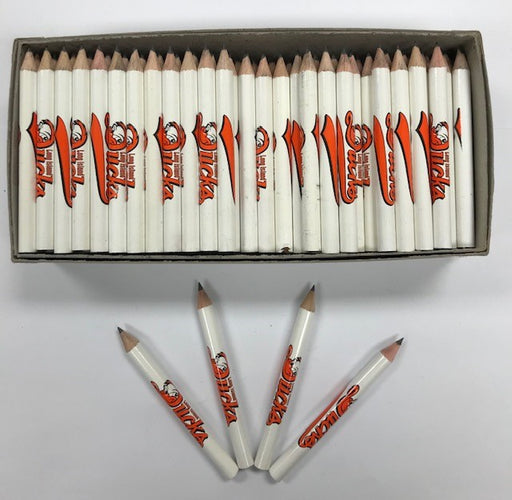 Decorated Pencils: Long Island Ducks